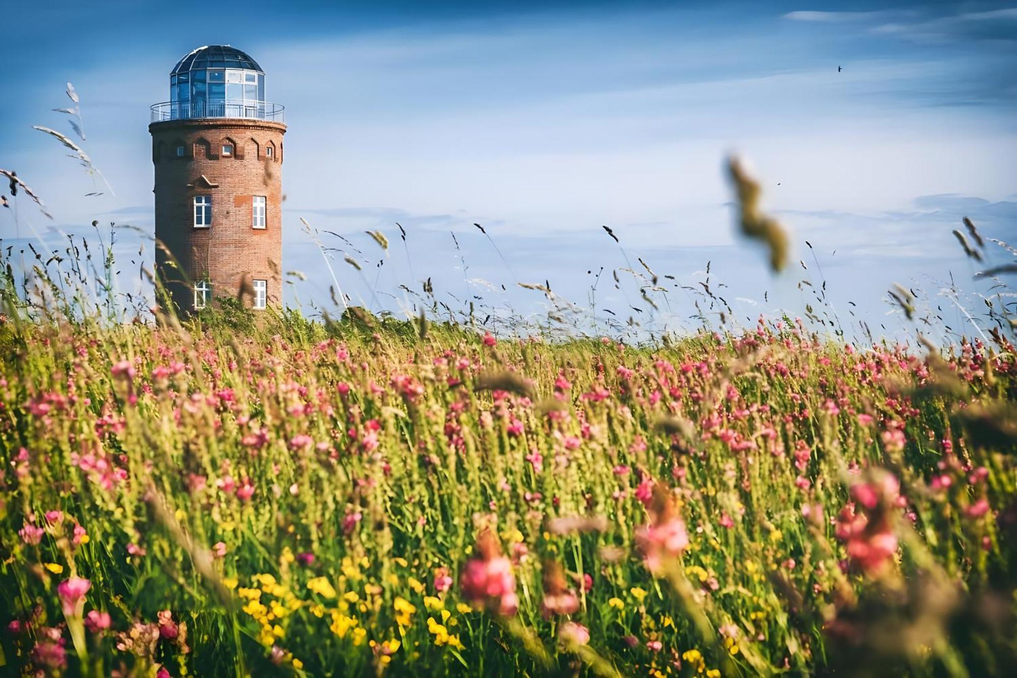 Zur alten Schmiede Schaprode Exterior foto